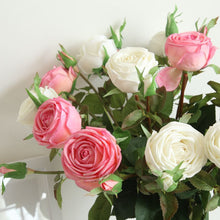 b325b7df1cd356cc8c85f23397f3f299