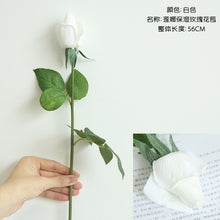 8c3c4fafc2ff3abb2d78aed67ccdcef2