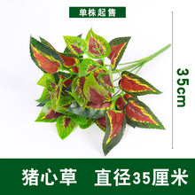 6a945dcbae262e317fdcff3beb2985cc