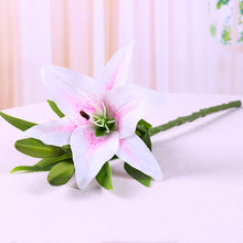 4fdac8491da574c760e10b33180a788a