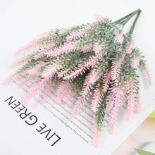 93cf2914249d121bf4579927e37ef6e4