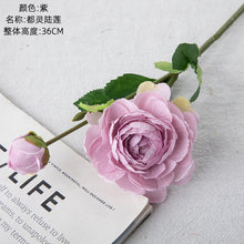 43821bc999f492498b2f3f6a07a74df4