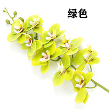 57c654f6e518e31b928dc9fdcae1b336
