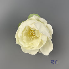13b86cd23ae593598a5c7578539810e0