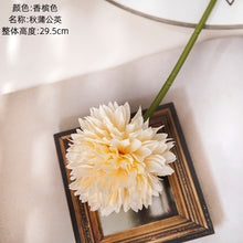 b65e5b12d0df84efb4d3472a2bc36bf8
