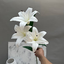 73c14d1e6d1c3c3ffcaa302f49d4985b