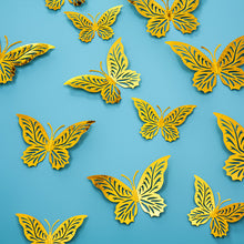 25dddfa4e473d0156f35cfd1db7f426b
