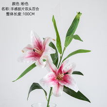 a9cadfd741fda6a03a707b9c52ec2d86