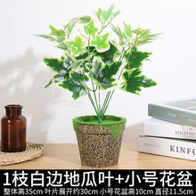 3d7783996962fbca3221fc421c6afc43
