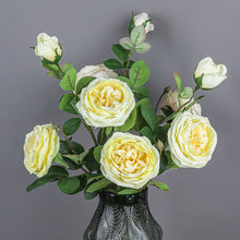 8f7f5b46b1cdbbbad7bc9dbff06573fc
