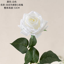 34d1bba03c8398a4103be3486f3ed1f5