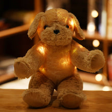 f85dbe0c9e2010a02e31188682959bdb
