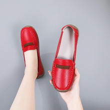 49fbe996a3f3f6f75a521a377418d46c