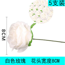 ca2641ad4eb80af5b6c0b36482e343cd