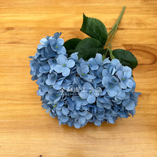 43a9f87e6fbaab911a0db22679275fa8