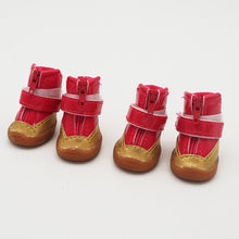 8dbbe05bcb404c2e3a81b0ed4078c73f