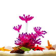 a7999998c1e7e6b05c8c7a2179ae2052
