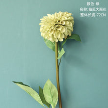 d889afdee1d35f6b04ba4704dcd8e11b