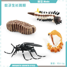 442f079ccb8135f1ec338a62fbe792f4