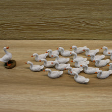 f5b70306189929b5b92b449edbcc96e9