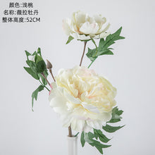 47d09992e292db2d1aac5e1736eeb206