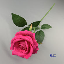 1d9c719569d67a9f9e0bc21df4ae50a8