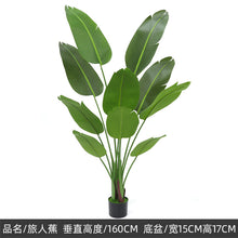 1a2098a56f8c61284ea41b025479927c