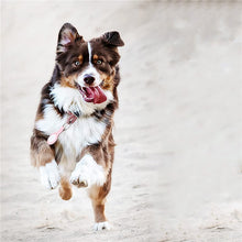 fc963bbb89582f130d30651eee310d83