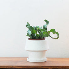 c74ee701bf3cc903893c7cac42a96c99