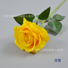 260f7c2a02105269f47446ddcb7836fa
