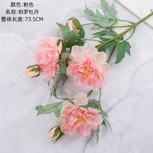 7c7447db6b3117b38878dd7cf9d6f6d8