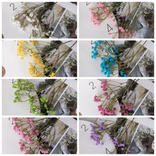 046e194e67a058582d341ebb07305dc8