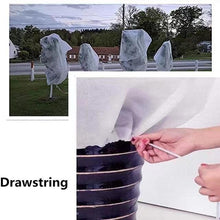 26c8c00dc8fca24fb63967fc9121f36f