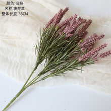 a168c89f51a8f53c0a8657f8281f1105