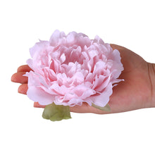 480d26b96bf6cc48c6cc08ea5f8147fe