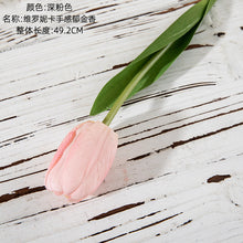 a3cb31ca66afe31c2e4ca3e27cd89981