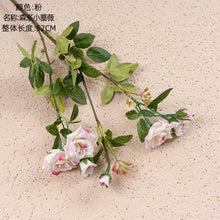 af2cfbc91b4f763c782dbe9fe6ef02d5