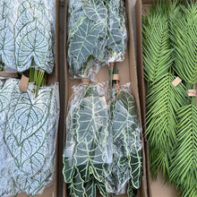 cb2ba1020fbf10c4e43c6d48c40ad407