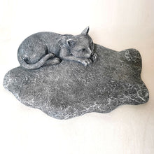 5bc2d7947fc8634c65421aa4cd2f00c5