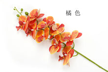6b912ca78ffccea8c17c1ae7923b7a3c