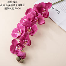 047eab8eda408a13989a47d950731374