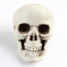 c9ff923c847f95593f1bd2a58419950b