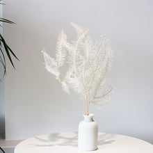 fb9b624df84c678170b21bd8ea0a0021