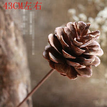 6faff119f282a9fd84f35926d61a6e9d