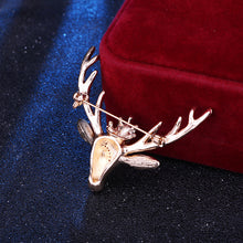 b04ed901e37262768caaa1944b14ac26