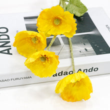 e23f24ee235064ad3fa822d62d7ce82f