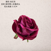 b554d9d44487d89cb1a6a8d8a5a18fb5