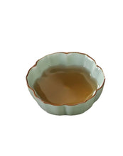 55e1bc1e4288a8bf4cd603e93e7adf50
