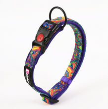 2e4742ffa438d4f56b448c47ce22da3d