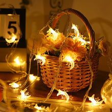 1b659fd66d21510916741fc3af531dc2